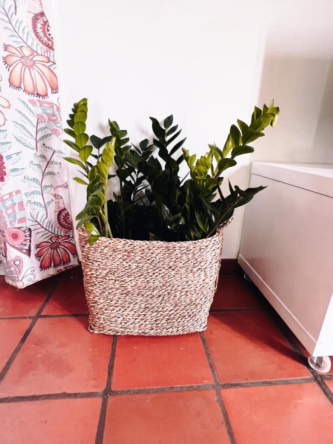 Apart-hotel Quinta Mae Dos Homens Funchal (Madeira)