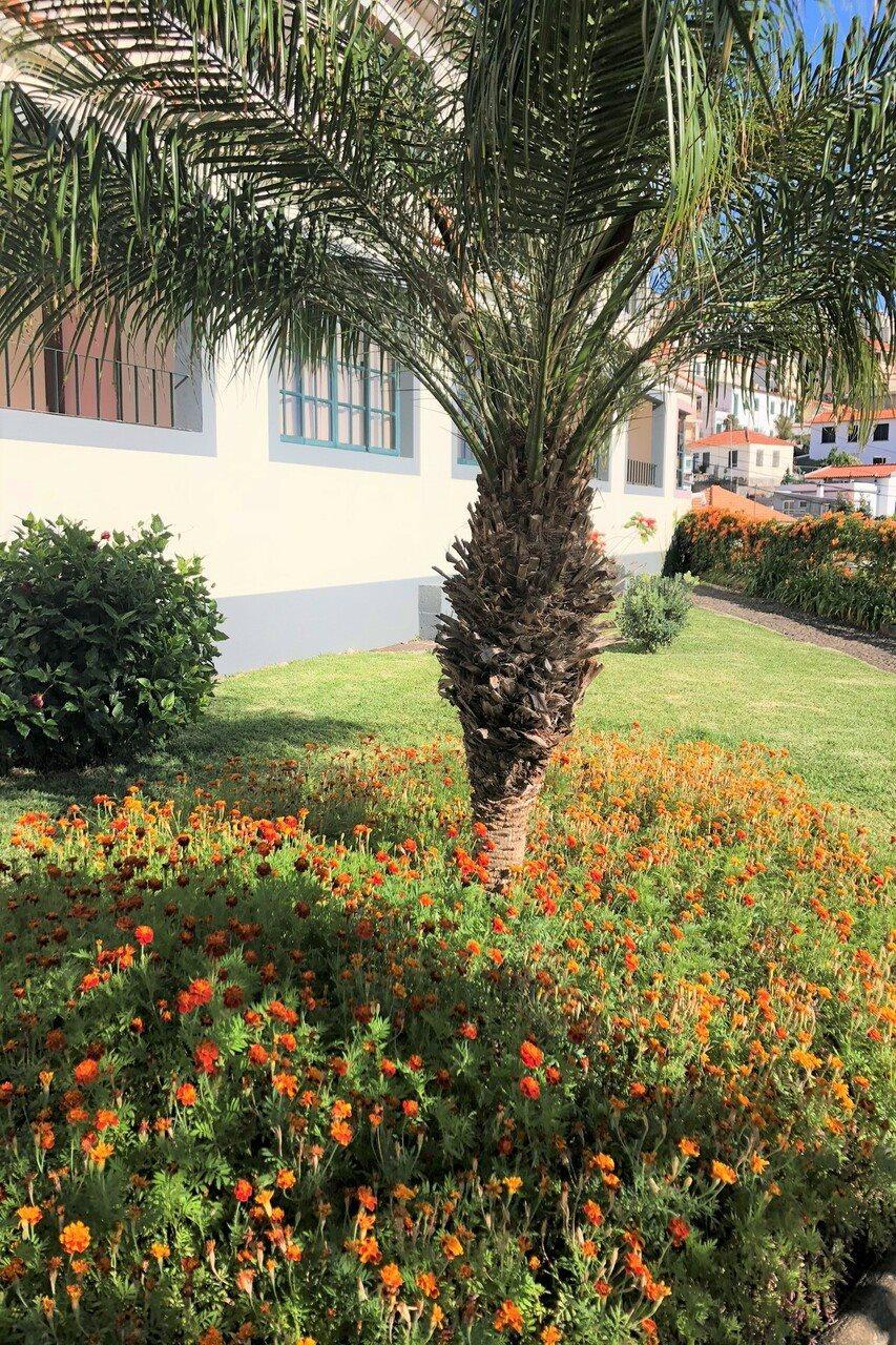Quinta Mae Dos Homens Apart-hotel 3*